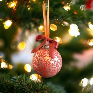 Limited Editional Hand Painted Glass Ornament by Andrea Gingerich